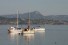 Le Coudon, vu depuis la prequ'ile de Giens