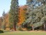 Le parc